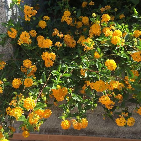 Mastrissa Country House Apartment Taormina Exterior photo